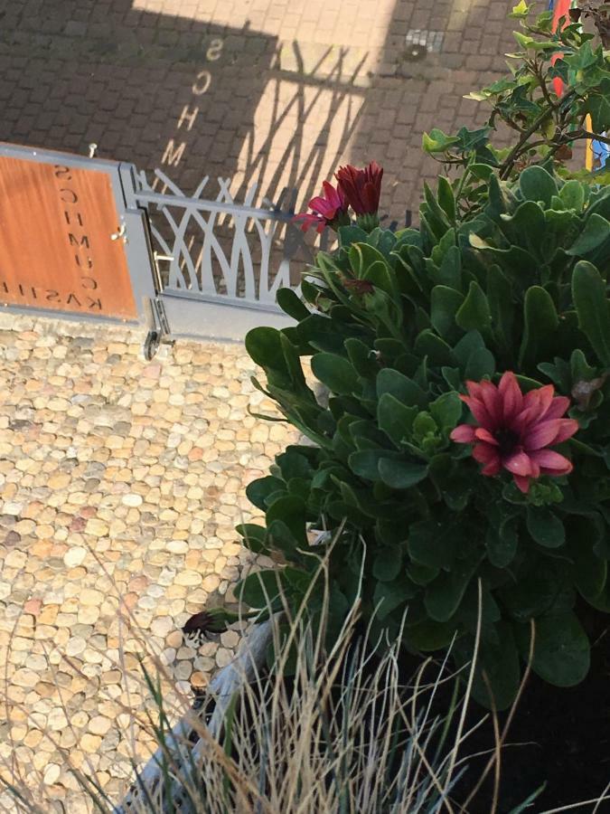 Ferienwohnung Schmuckkästle am Hafen Wiesbaden Exterior foto